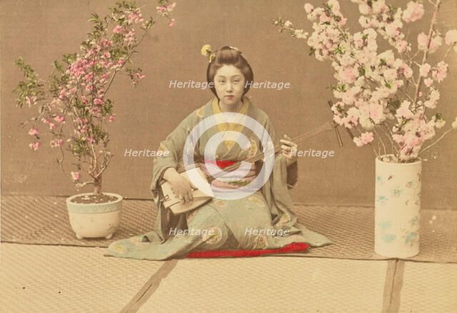 Geisha Playing Samisen, 1897. Creator: Ogawa Kazumasa.