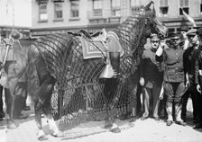 Gen. Grant's horse, 1912. Creator: Bain News Service