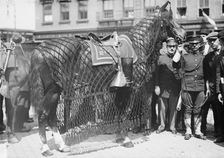 Gen. Grant's horse, 1912. Creator: Bain News Service