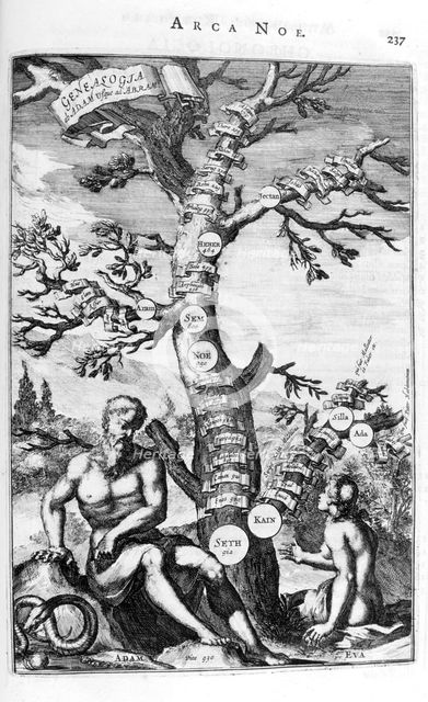 Genealogy tree of Adam, 1675.  Artist: Athanasius Kircher