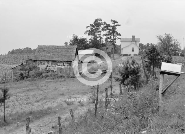 General view of a hillside farm which faces the road..., Person County, North Carolina, 1939. Creator: Dorothea Lange.