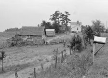 General view of a hillside farm which faces the road..., Person County, North Carolina, 1939. Creator: Dorothea Lange