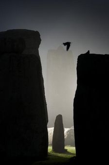 General view of Stonehenge at night, showing a Jackdaw filying between the stones, 2011. Creator: James O Davies