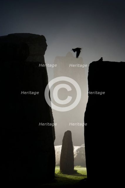 General view of Stonehenge at night, showing a Jackdaw filying between the stones, 2011. Creator: James O Davies.