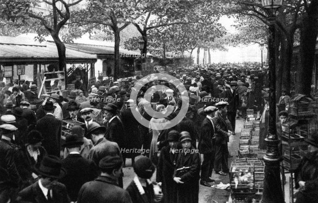 General view of the bird market, Paris, 1931.Artist: Ernest Flammarion