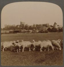 General View Windsor Castle, England 1896. Creator: Unknown