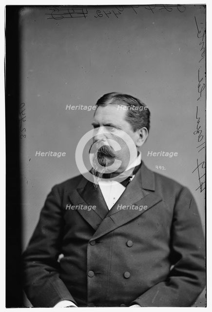 General William B. Hazen (not in uniform), between 1870 and 1880. Creator: Unknown.