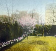 General William Crozier house, 1735 Massachusetts Ave., NW, Washington, D.C., (1915?). Creator: Frances Benjamin Johnston
