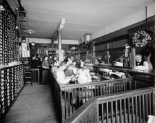 General offices, Whitney Warner Publishing Co., Detroit, Mich., between 1900 and 1905. Creator: Unknown