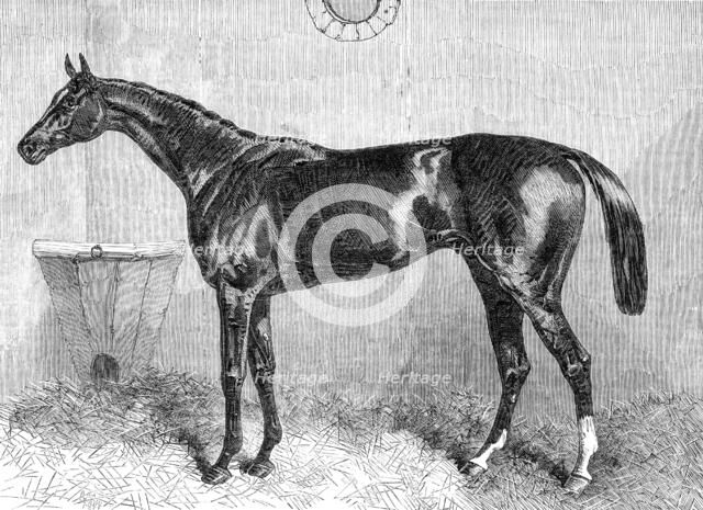 "General Peel", the winner of the Two Thousand Guineas at the Newmarket Spring Meeting, 1864. Creator: Unknown.
