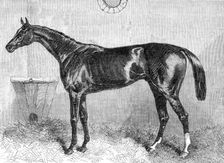 "General Peel", the winner of the Two Thousand Guineas at the Newmarket Spring Meeting, 1864. Creator: Unknown
