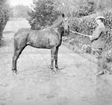 General Seely's "Warrior", Isle of Wight, April 1922. Creator: Kirk & Sons of Cowes