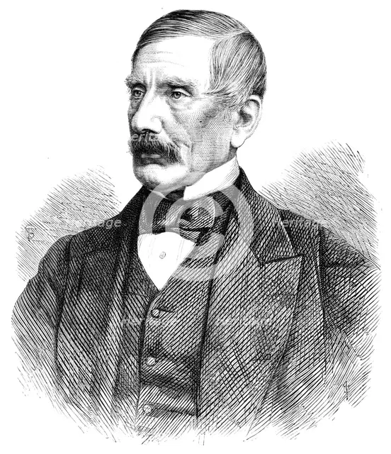 General Sir Henry Storks, K.C.B., the new Comptroller-In-Chief of the Army, 1868. Creator: Unknown.