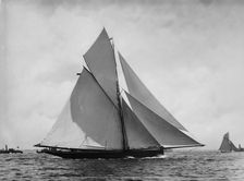 Genesta, c1885. Creator: John S Johnston