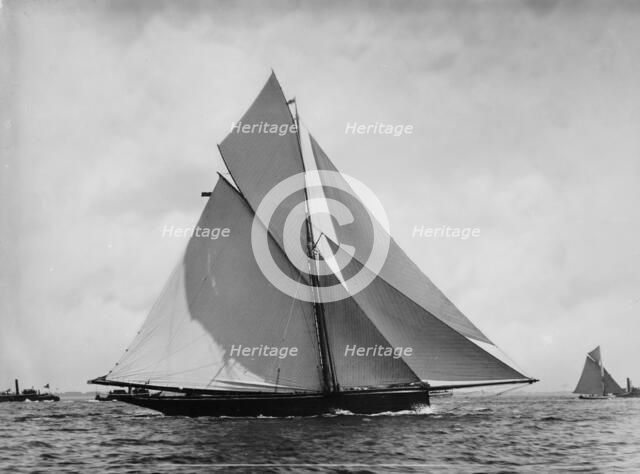 Genesta, c1885. Creator: John S Johnston.