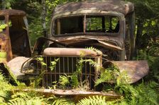 Gently Used. Creator: Joshua Johnston