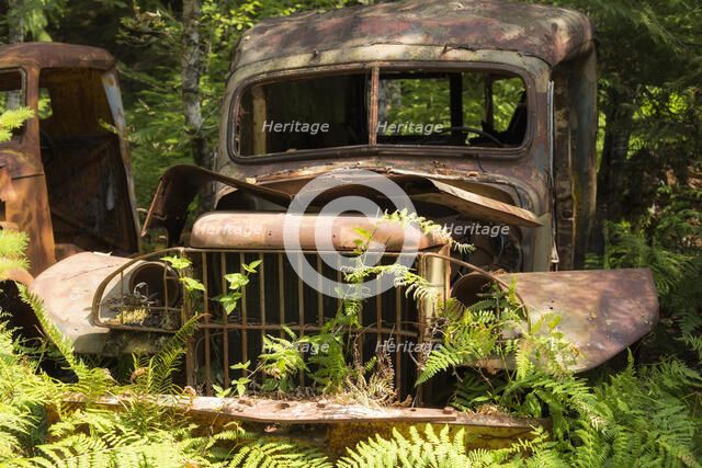 Gently Used. Creator: Joshua Johnston.