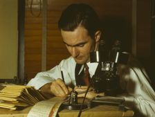 Geologist examining cuttings from wildcat well, Amarillo, Texas, (1943?). Creator: John Vachon