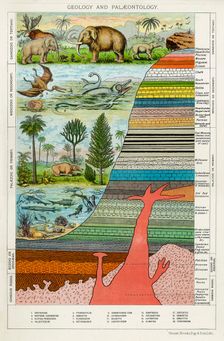 Geology and Palaeontology c1880. Creator: Unknown