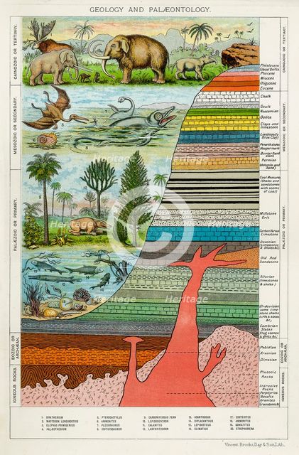 'Geology and Palaeontology', c1880. Creator: Unknown.