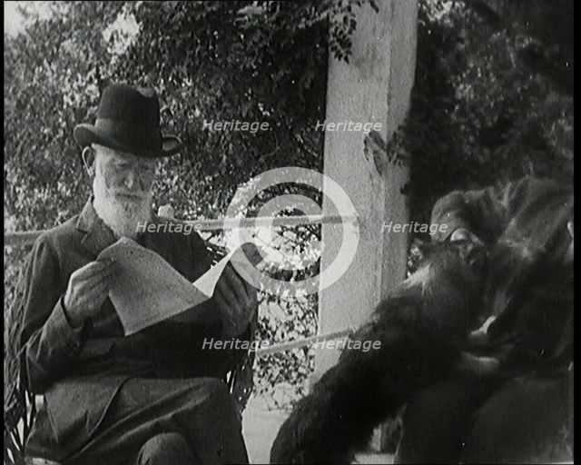 George Bernard Shaw and a Male Civilian Sitting in a Garden, 1920s. Creator: British Pathe Ltd.