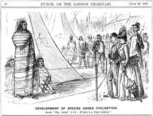 George du Maurier cartoon from "Punch" illustrating Darwinism, 1887. Creator: George du Maurier