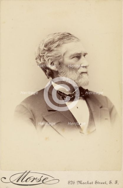 George Davidson, about 1884. Creator: George Daniels Morse.