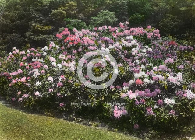 George Fisher Baker house, Tuxedo Park, New York, c1913. Creator: Frances Benjamin Johnston.