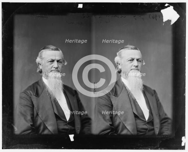 George Gibbs Dibrell of Tennessee, c.1865-1880.  Creator: Unknown.