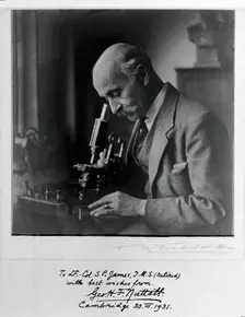 George Henry Falkiner Nuttall, 1931. Creator: T Whitlock