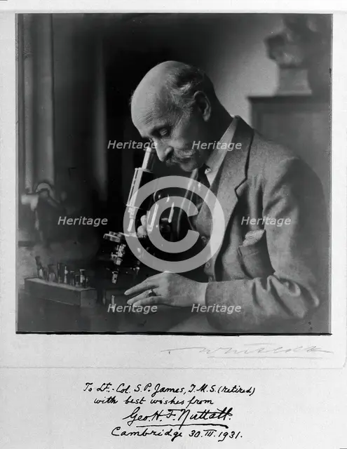George Henry Falkiner Nuttall, 1931. Creator: T Whitlock.