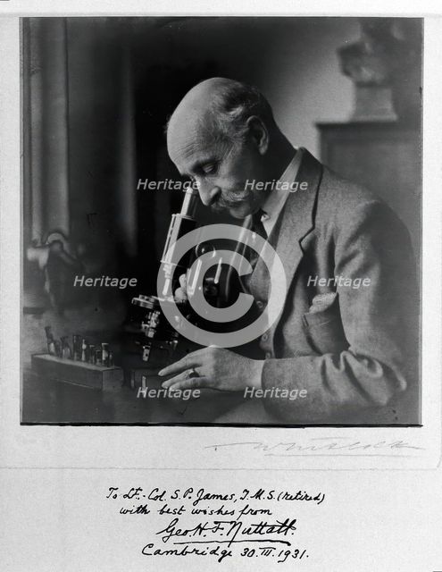 George Henry Falkiner Nuttall, 1931. Creator: T Whitlock.