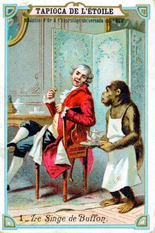 George-Louis Leclerc, Comte de Buffon, 18th century French naturalist, c1890