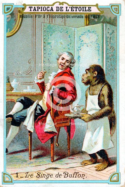 George-Louis Leclerc, Comte de Buffon, 18th century French naturalist, c1890. Artist: Unknown