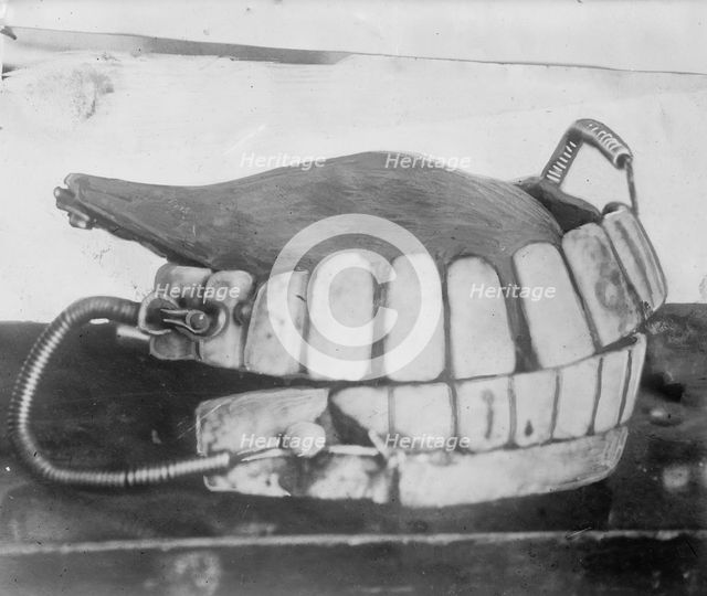 George Washington's teeth, between c1910 and c1915. Creator: Bain News Service.