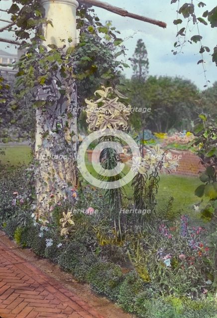George Warrington Curtis house, Southampton, New York, 1914 or 1915. Creator: Frances Benjamin Johnston.
