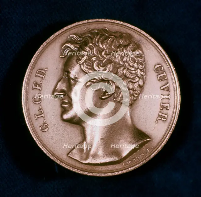 Georges Leopold Chretien Frederic Dagobert, Baron Cuvier, French anatomist, 19th century. Creator: Unknown.