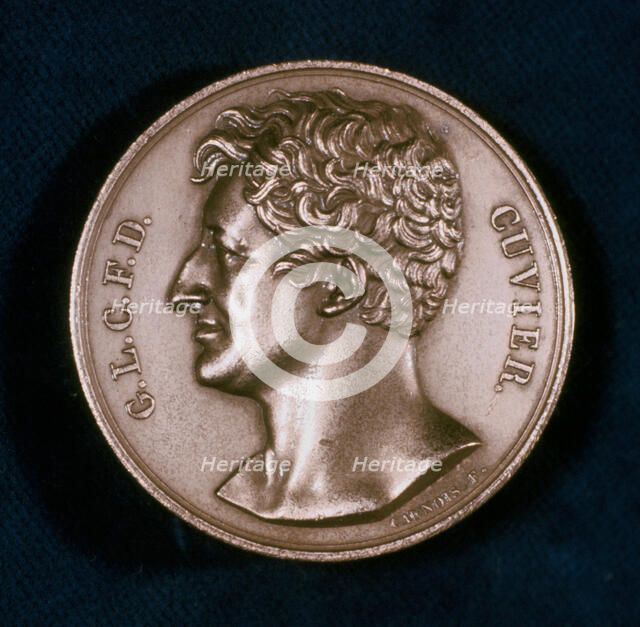 Georges Leopold Chretien Frederic Dagobert, Baron Cuvier, French anatomist, 19th century. Artist: Unknown