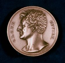 Georges Leopold Chretien Frederic Dagobert, Baron Cuvier, French anatomist, 19th century
