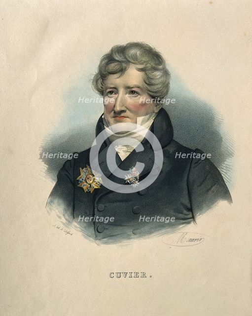 Georges Léopold Chrétien Frédéric Dagobert, Baron de Cuvier (1769-1832), .