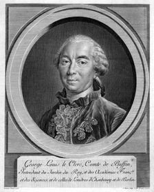 Georges-Louis Leclerc, Comte du Buffon, French naturalist, 1761. Creator: Unknown