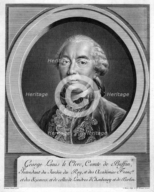 Georges-Louis Leclerc, Comte du Buffon, French naturalist, 1761. Creator: Unknown.