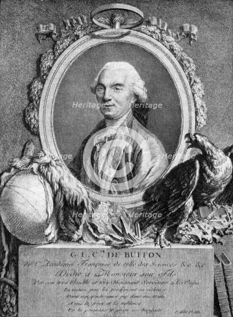 Georges-Louis Leclerc, Comte de Buffon, French naturalist, 18th century. Artist: Unknown