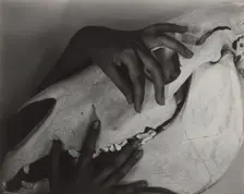 Georgia O'Keeffe - Hands and Horse Skull, 1931. Creator: Alfred Stieglitz