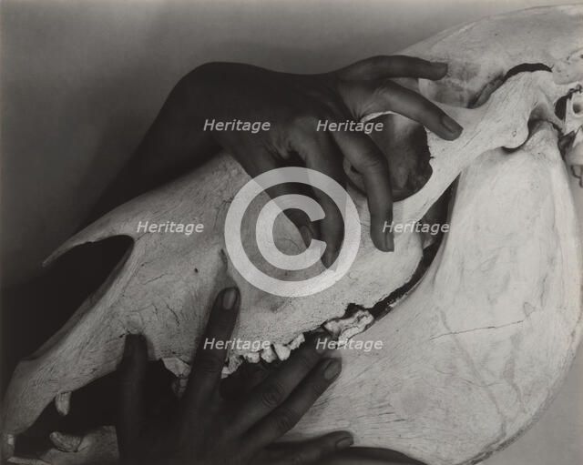 Georgia O'Keeffe - Hands and Horse Skull, 1931. Creator: Alfred Stieglitz.