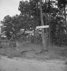 Georgia road sign, 1937. Creator: Dorothea Lange