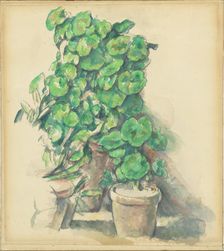 Geraniums, 1888/1890. Creator: Paul Cezanne