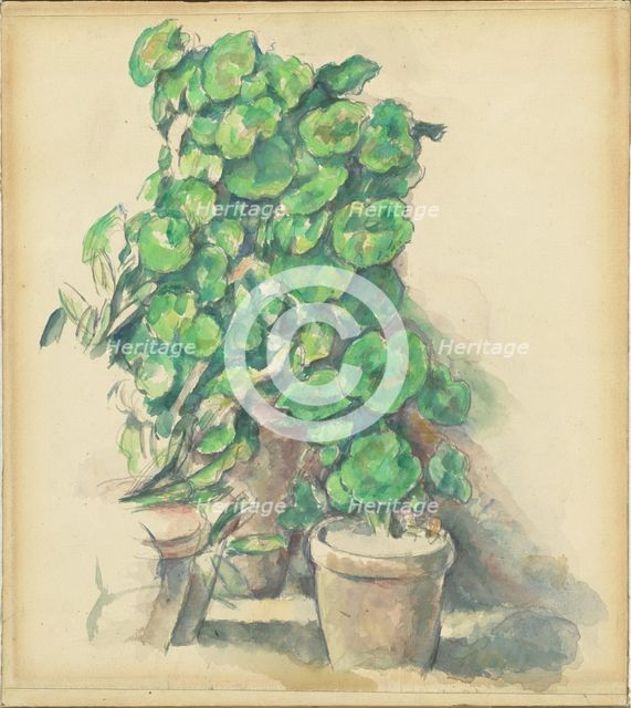 Geraniums, 1888/1890. Creator: Paul Cezanne.
