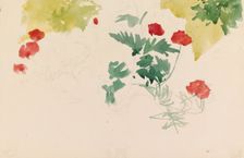 Geraniums, c1890s. Creator: Albert Edelfelt