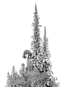 Gerda Knew Every Flower in the Garden c1930. Artist: W Heath Robinson